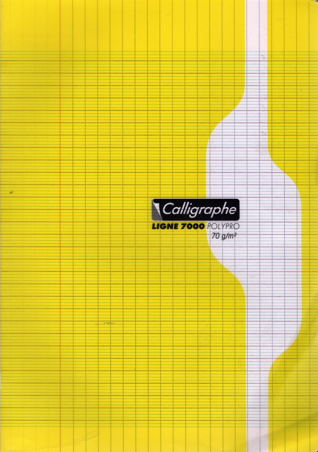 Cahier Polypro 192p 17x22 (petit format) Calligraphe 70GRS