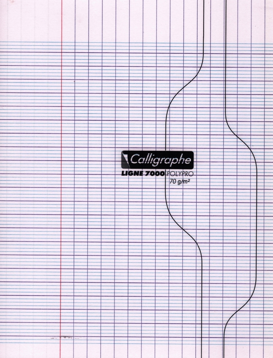 Cahier Polypro 192p 24x32 (grand carreaux) Calligraphe 70GRS