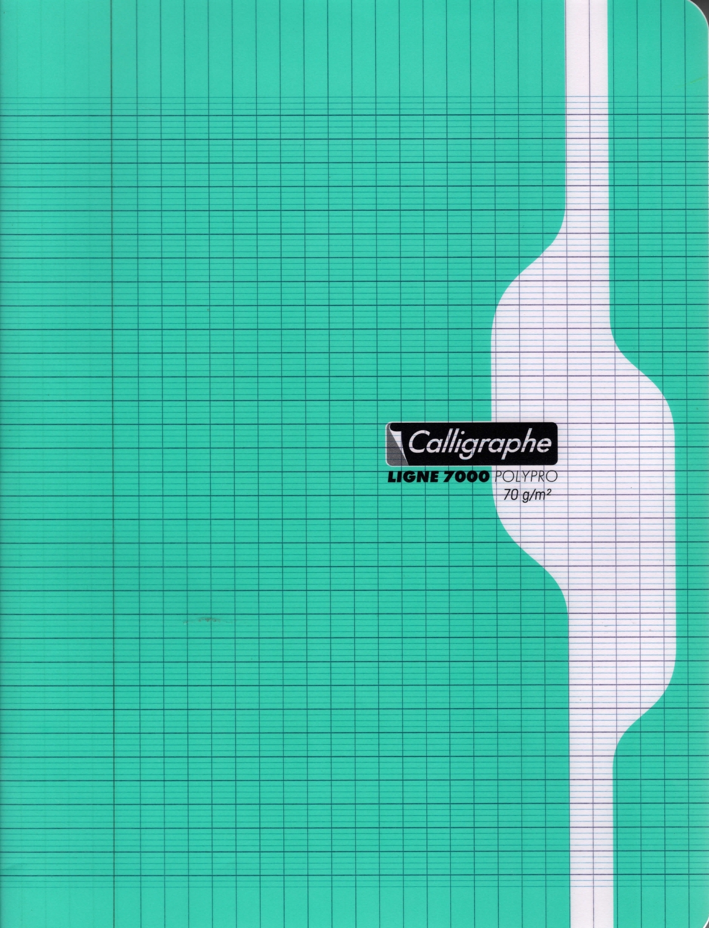 Cahier Polypro 288p 24x32 (grand carreaux) Calligraphe 70GRS
