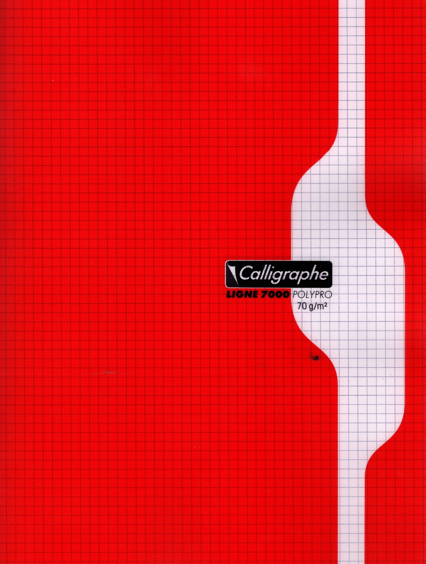 Cahier Polypro 288p 24x32 (petits carreaux) Calligraphe 70GRS